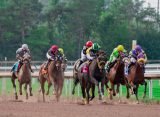 Horse Racing Systems