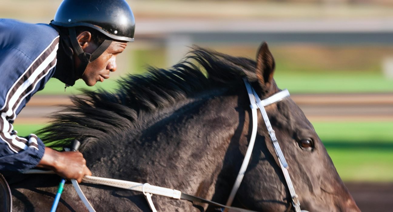 Horse Racing Systems