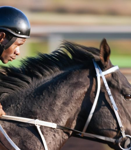 Horse Racing Systems