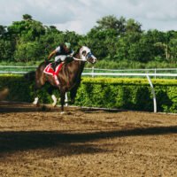 Horse Racing Systems