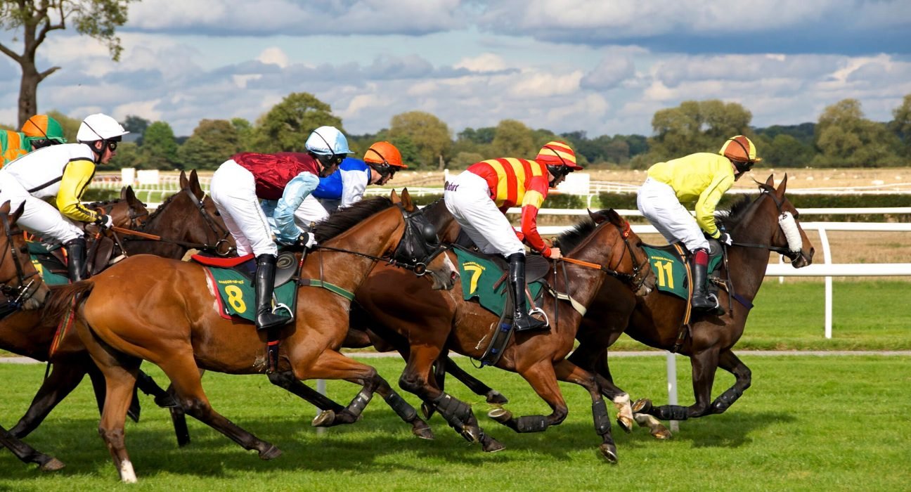 Horse Racing Systems