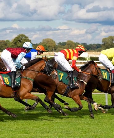 Horse Racing Systems