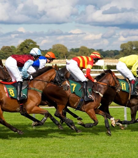 Horse Racing Systems