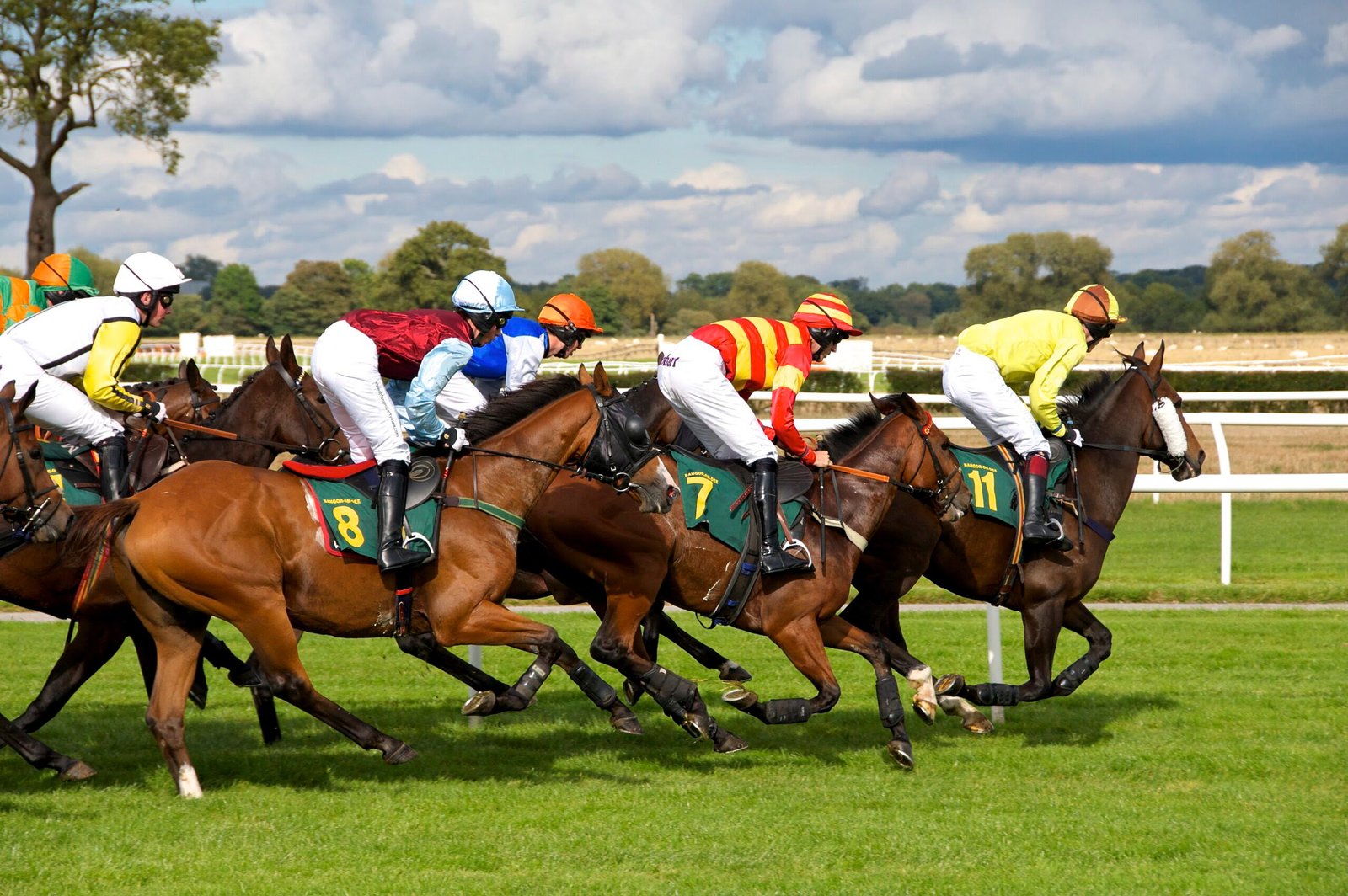 Horse Racing Systems