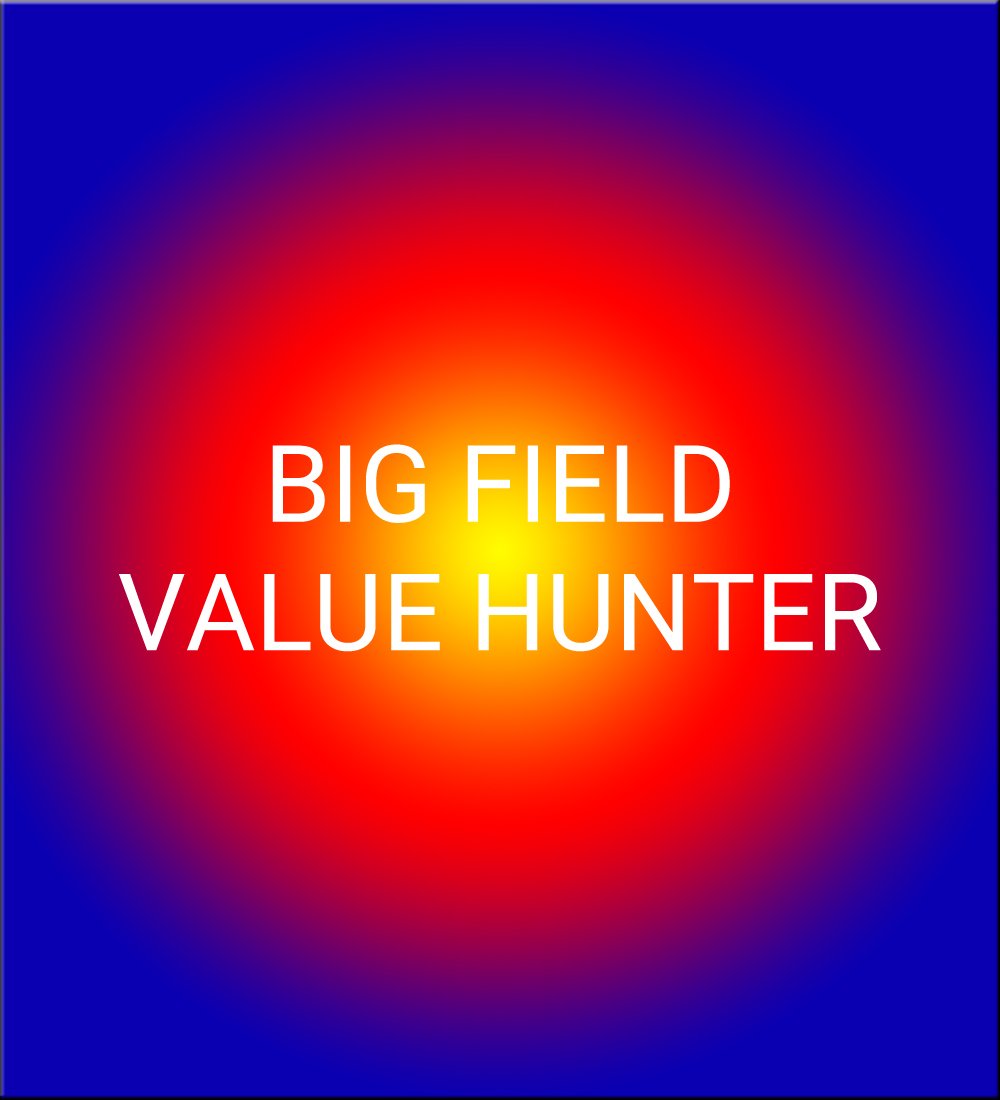 BIG FIELD VALUE HUNTER