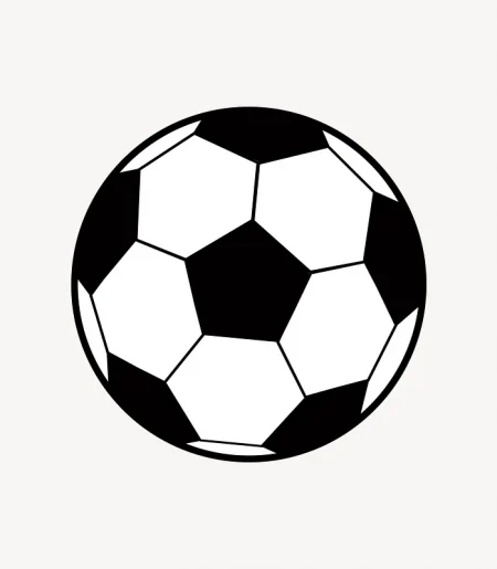 The Daily Football Pro Selector - Image 2