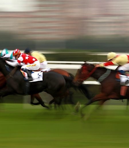 Horse Racing Systems