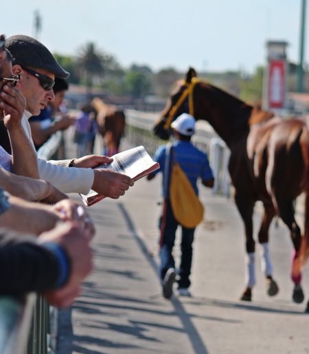 Horse Racing Systems