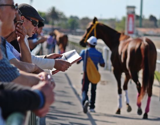 Horse Racing Systems