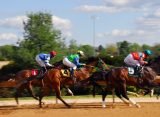 Horse Racing Systems