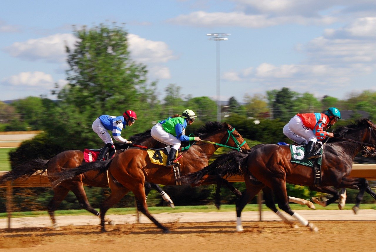 Horse Racing Systems