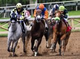 Horse Racing Systems