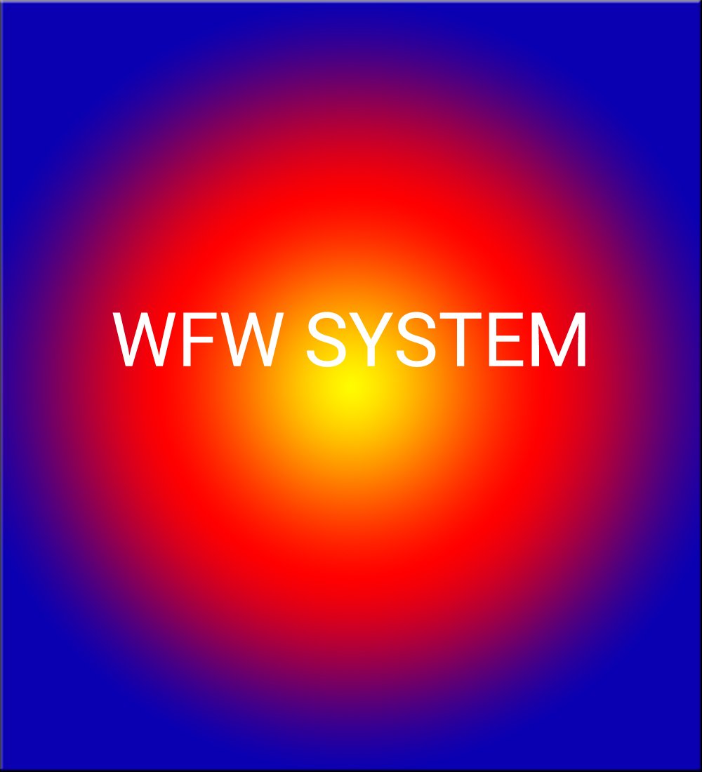 WFW SYSTEM